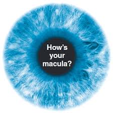 How's your macula
