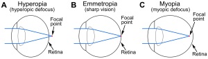 image from http://blogs.plos.org
